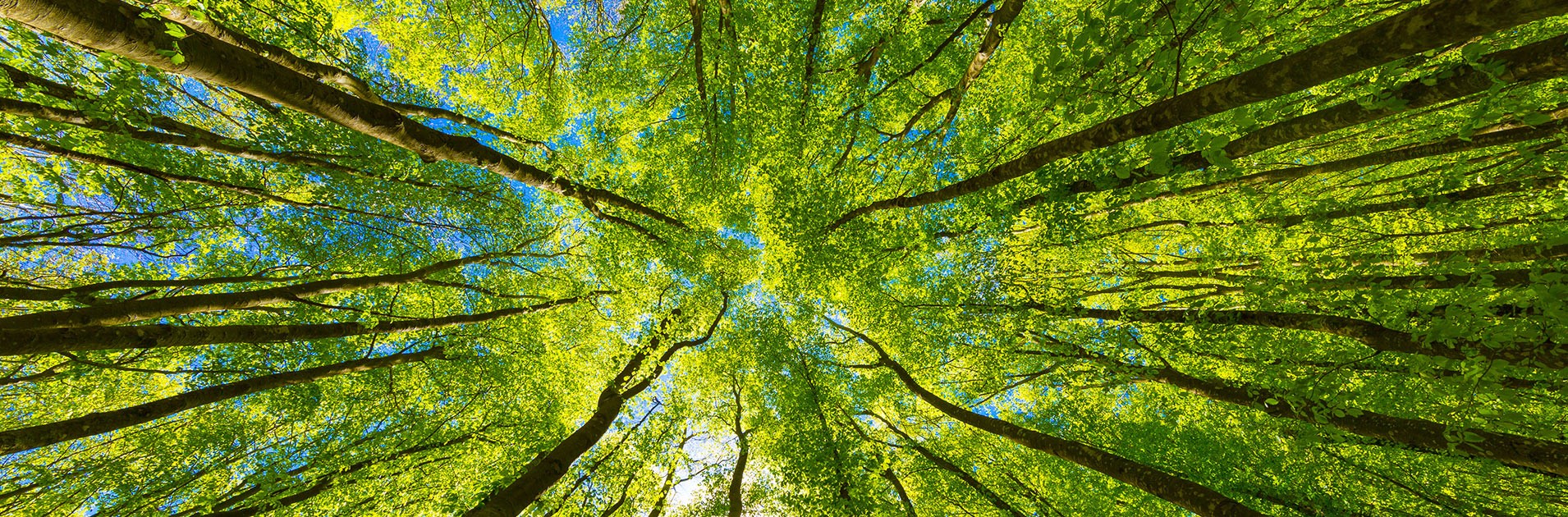 GREENLIFE, A SECOND CHANCE FOR YOUR E-WASTE